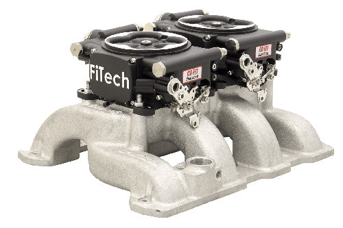 Go EFI 2x4 System